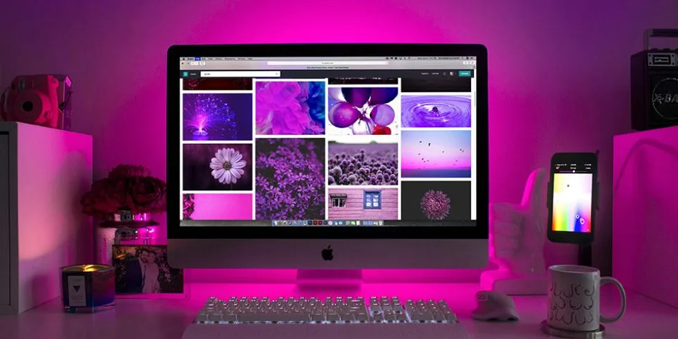 Website design trends in 2024