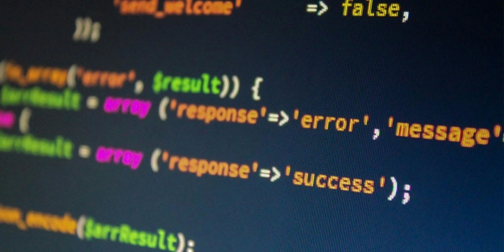 WordPress Security
